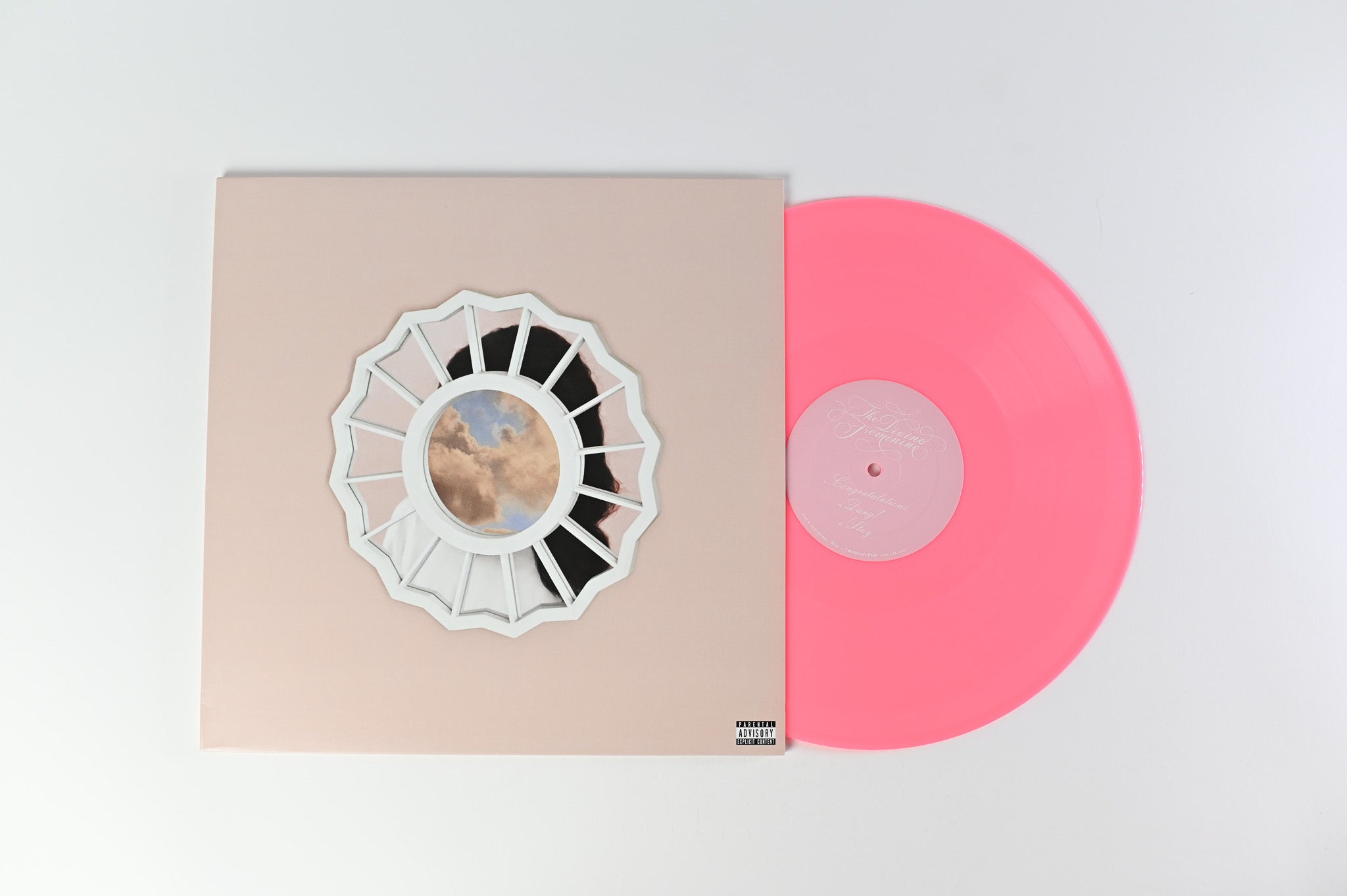 Mac high quality Miller The Divine Feminine Limited Pink Urban Outfitters Vinyl