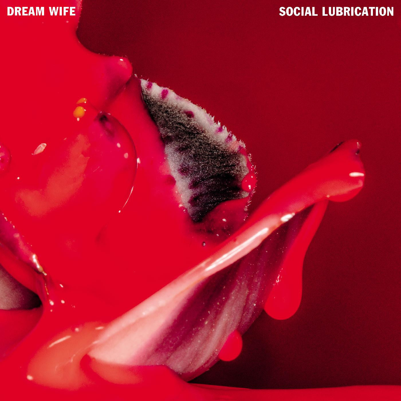 Dream Wife - Social Lubrication [Deep Red Vinyl]