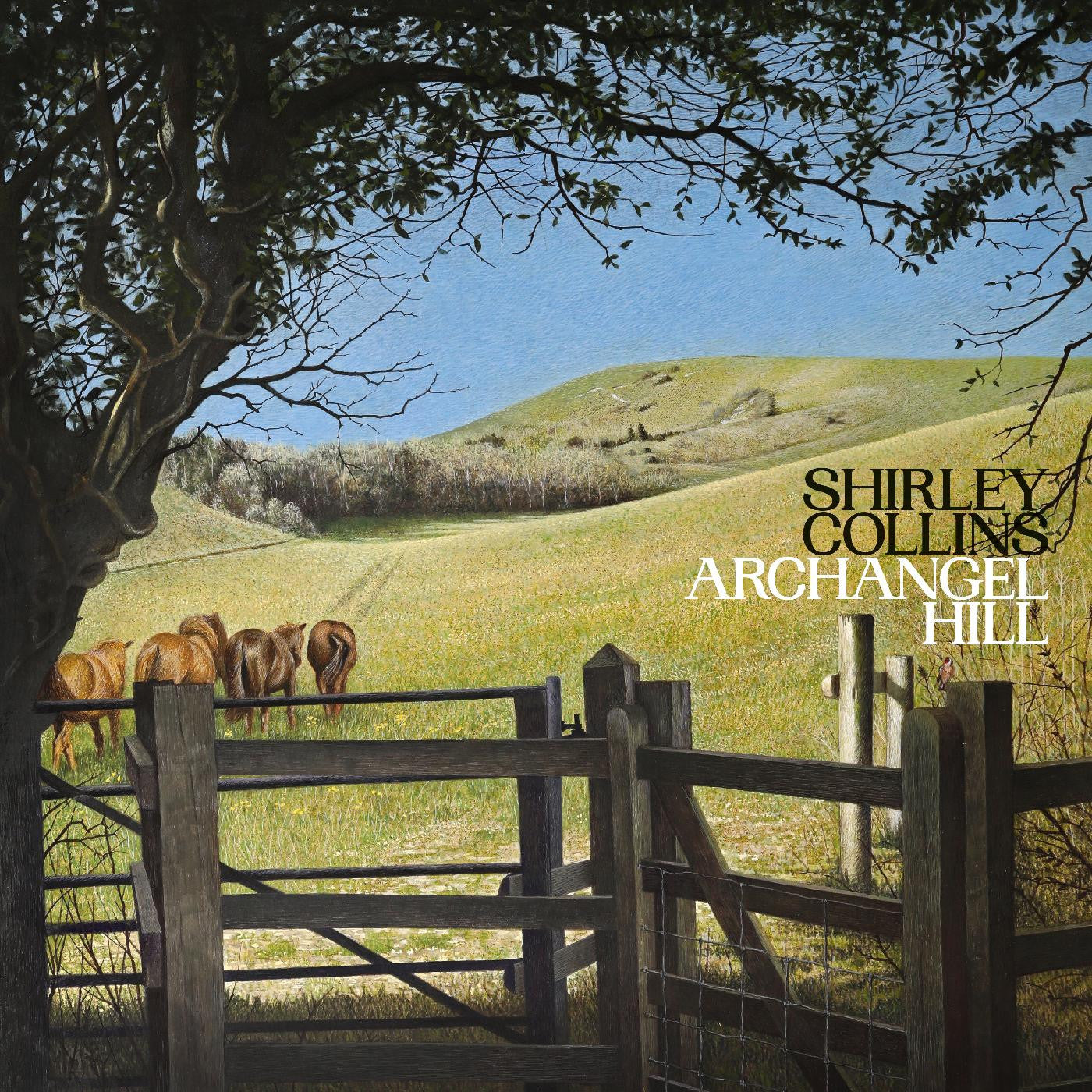 Shirley Collins - Archangel Hill [Indie Exclusive Green Grass Vinyl]