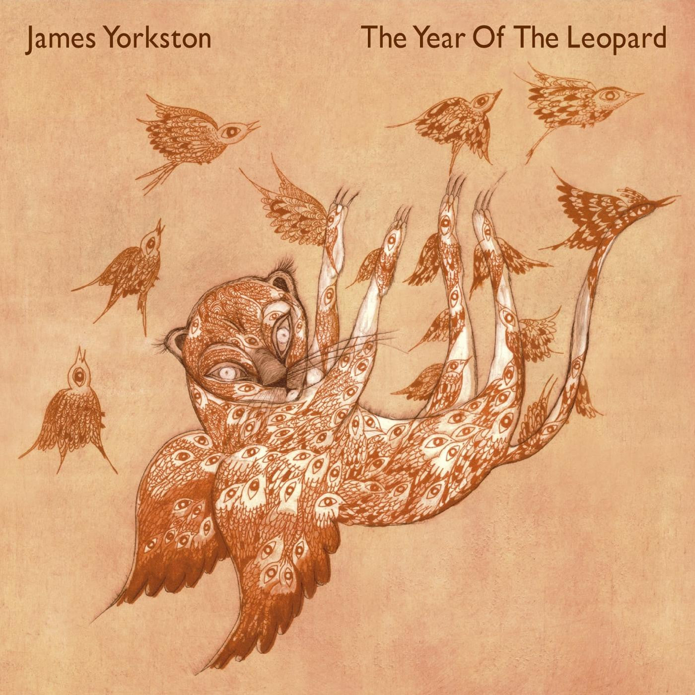 James Yorkston - The Year Of The Leopard