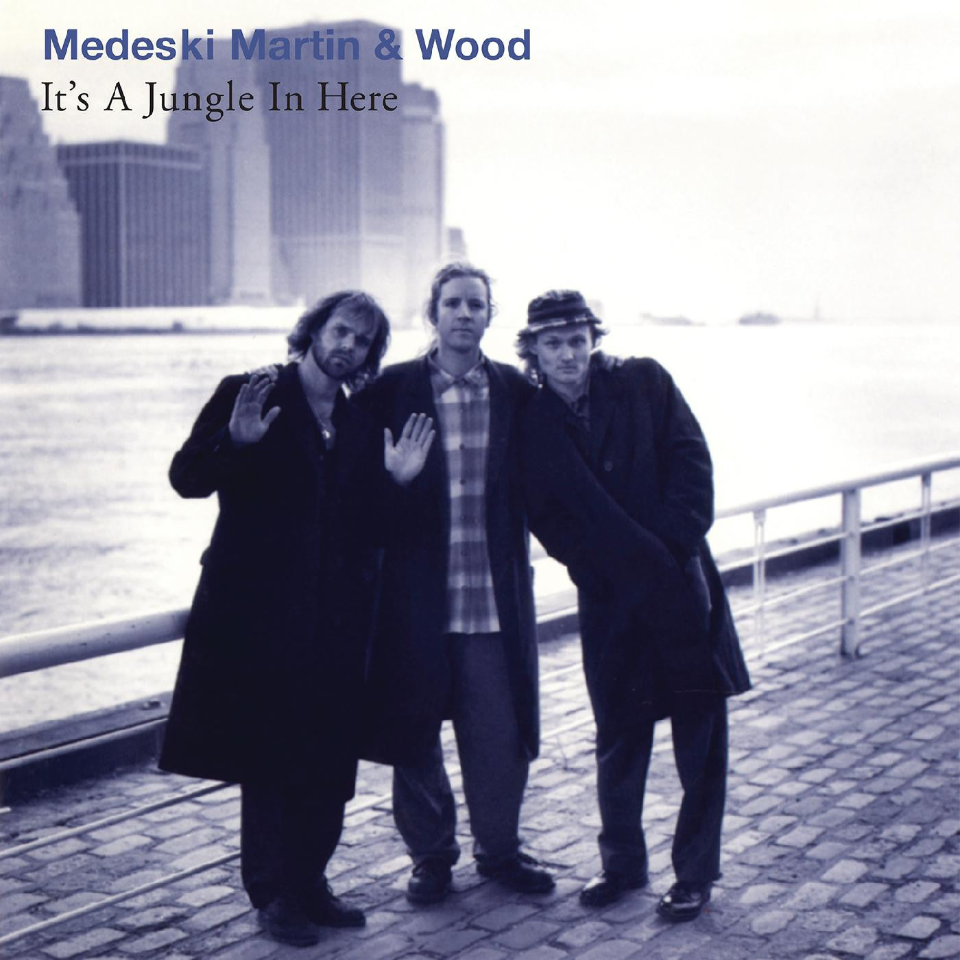 Medeski, Martin & Wood - It's a Jungle in Here