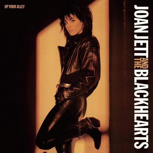 [DAMAGED] Joan Jett and the Blackhearts - Up Your Alley