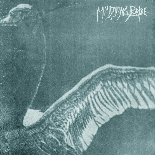 My Dying Bride - Turn Loose The Swans (30th Anniversary)