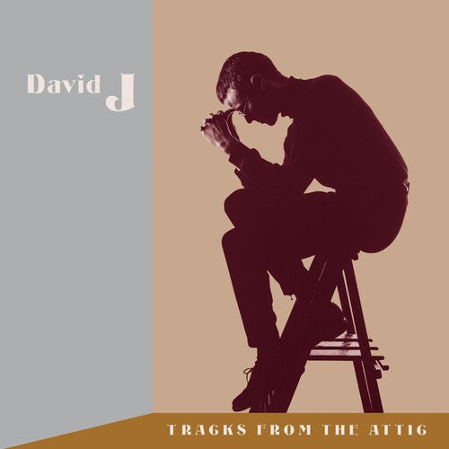 David J - Tracks From The Attic [Translucent Brown Vinyl]