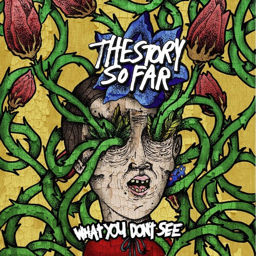 [PRE-ORDER] The Story So Far - What You Don't See [Release Date: 01/24/2025]