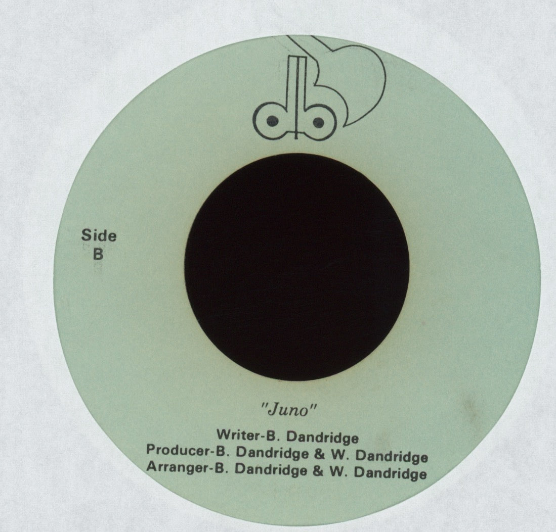 db - Shake The House Private Boogie Rap 45