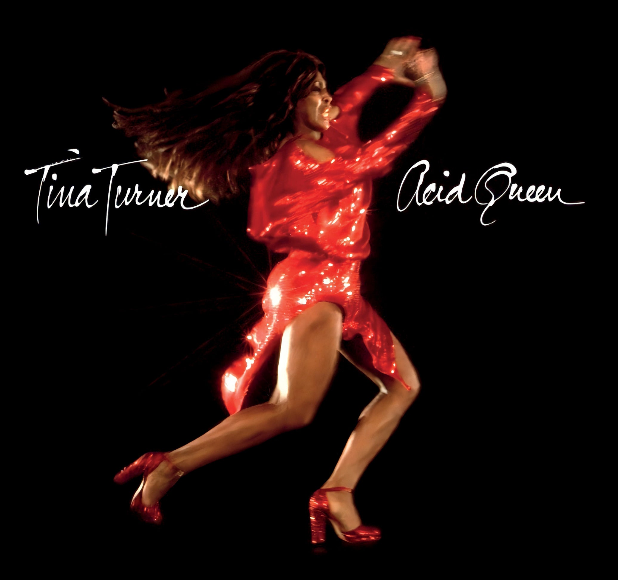 Tina Turner - Acid Queen