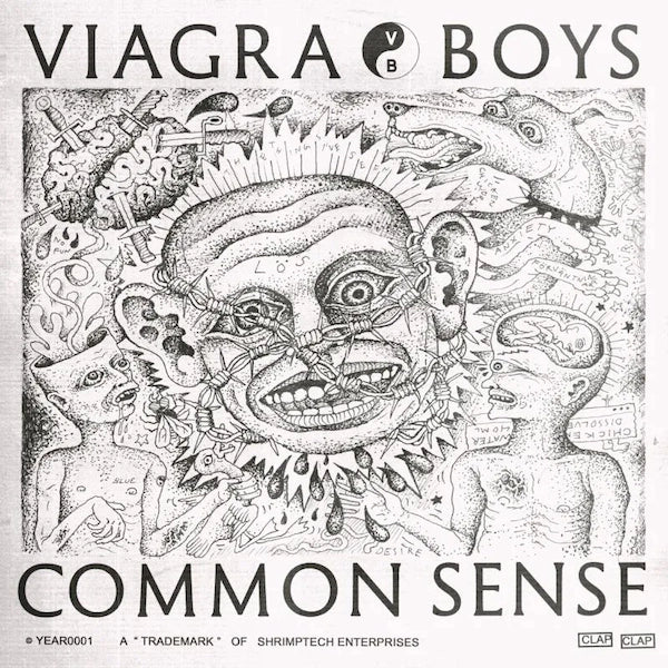 [DAMAGED] Viagra Boys - Common Sense