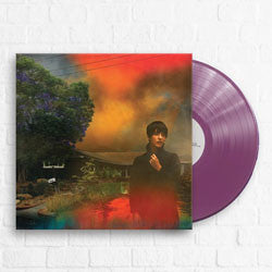 Sharon Van Etten - We're Going About This All Wrong [Purple Vinyl]