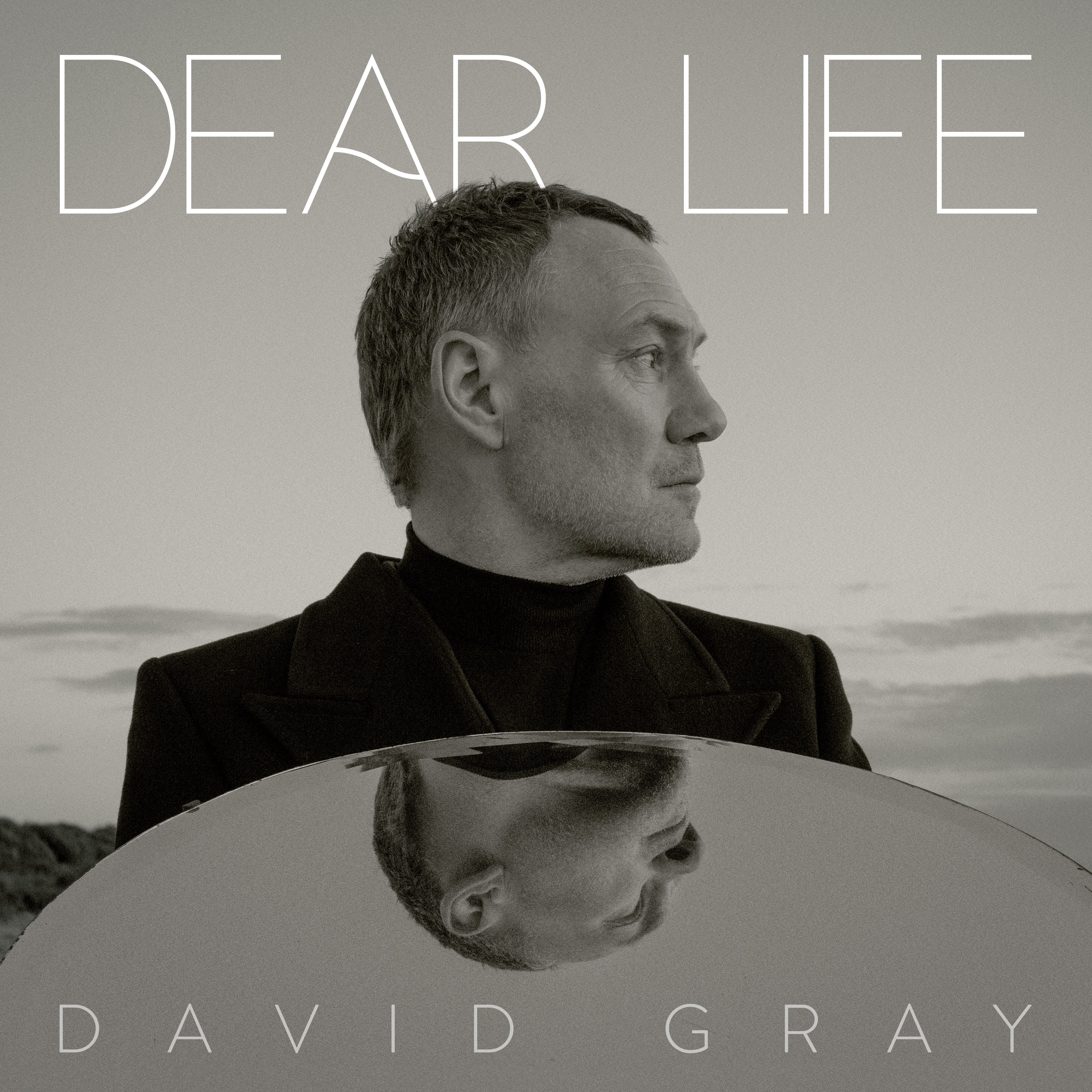 [DAMAGED] David Gray - Dear Life [Seaweed Green Vinyl]