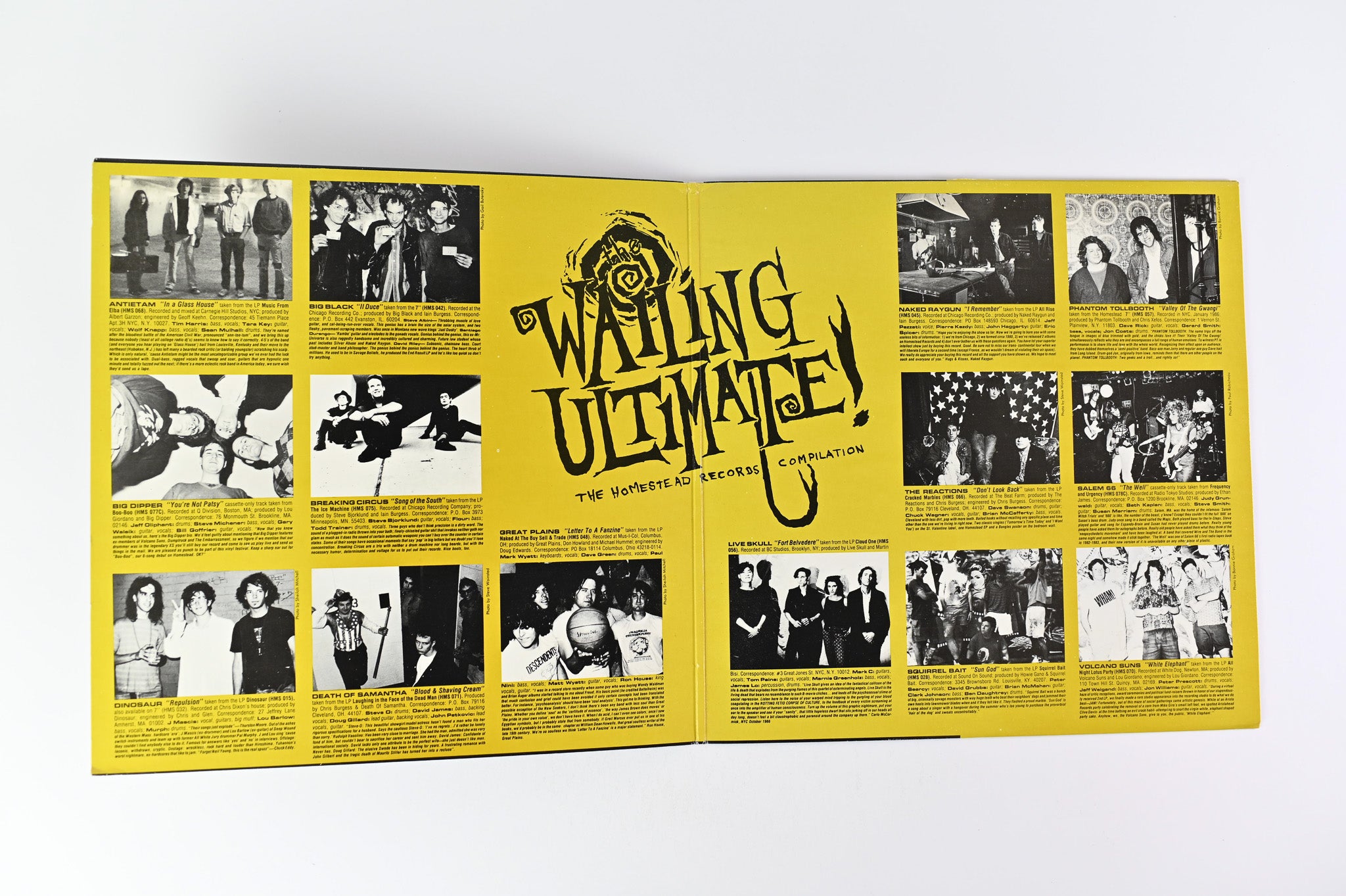 Various - The Wailing Ultimate (The Homestead Records Compilation)