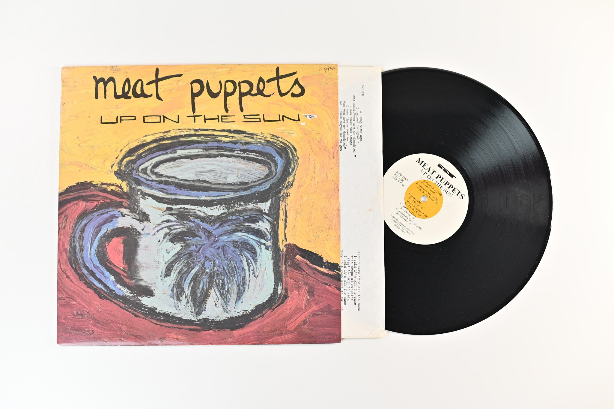 Meat Puppets - Up On The Sun on SST