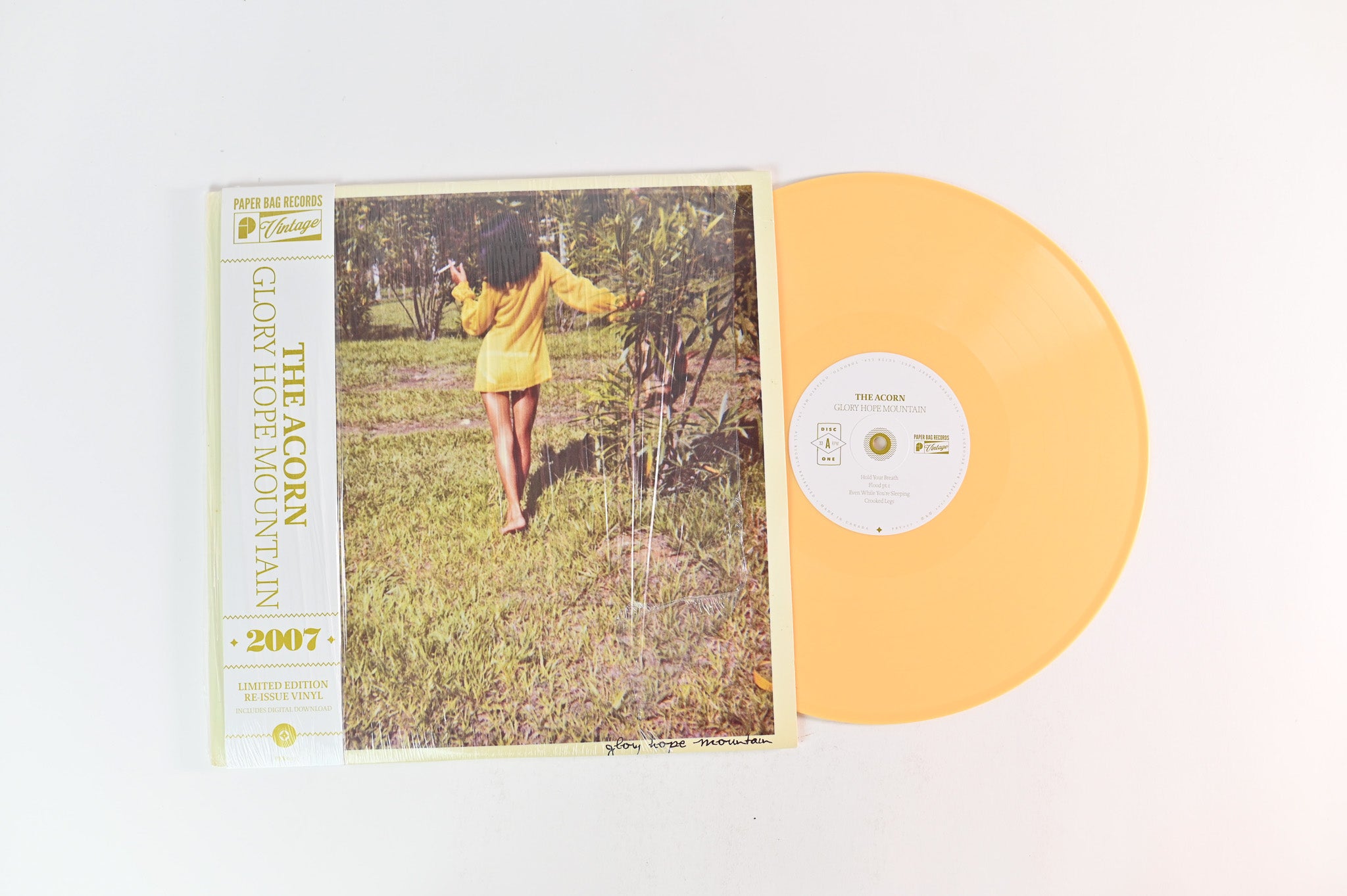 The Acorn - Glory Hope Mountain on Paper Bag Ltd Gold Vinyl Reissue