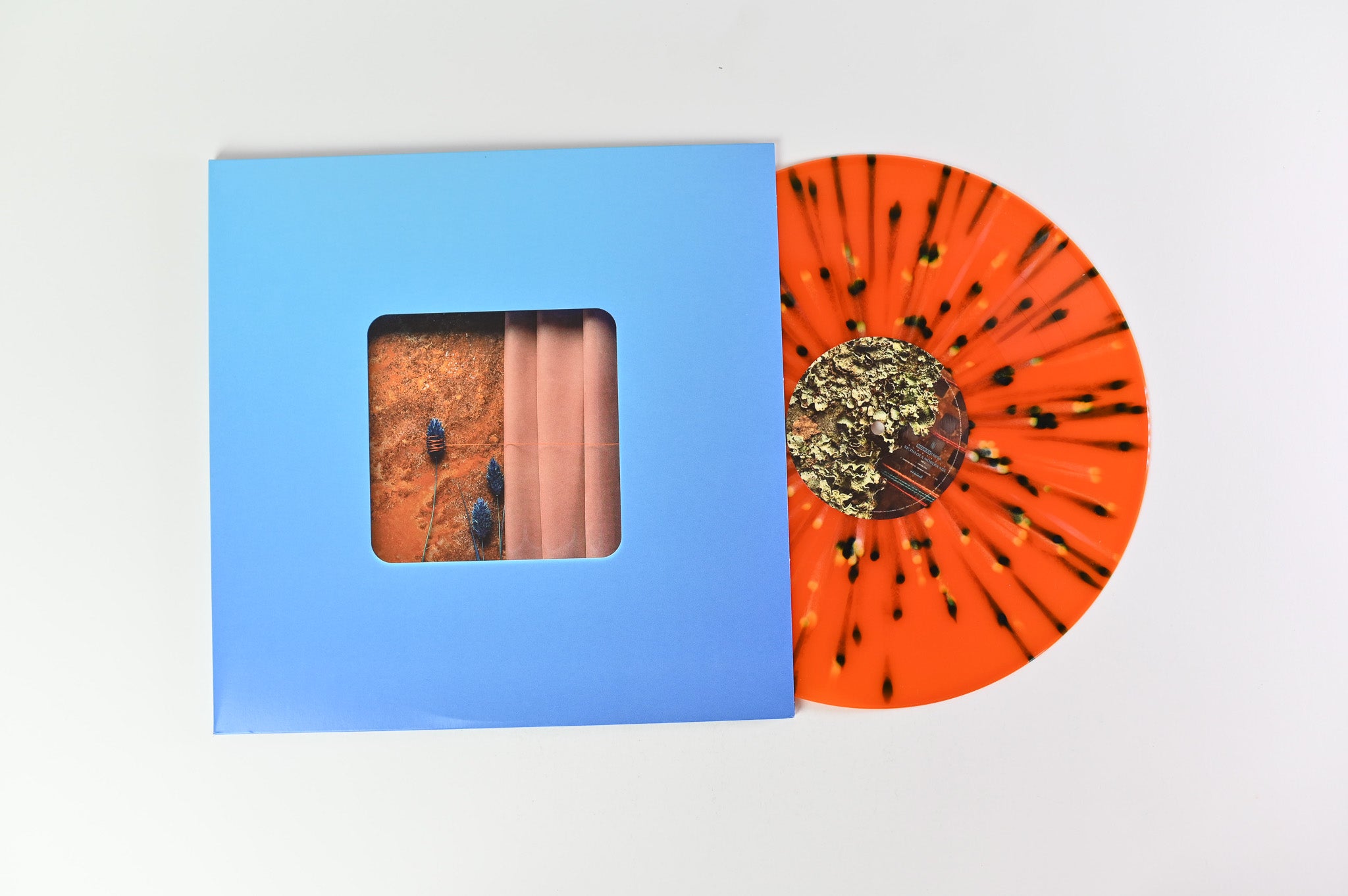 Modern Error - Victim Of A Modern Age on Rude Records - Splatter Vinyl