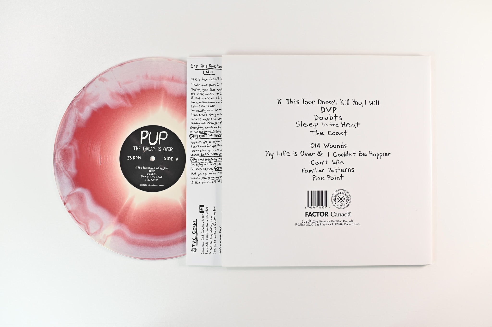 Pup - The Dream Is Over on SideOneDummy Bone/Oxblood Vinyl