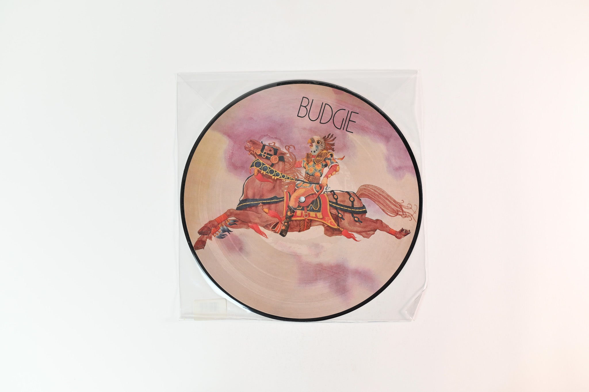 Budgie - Budgie on Noteworthy Productions 180 Gram Picture Disc Reissue