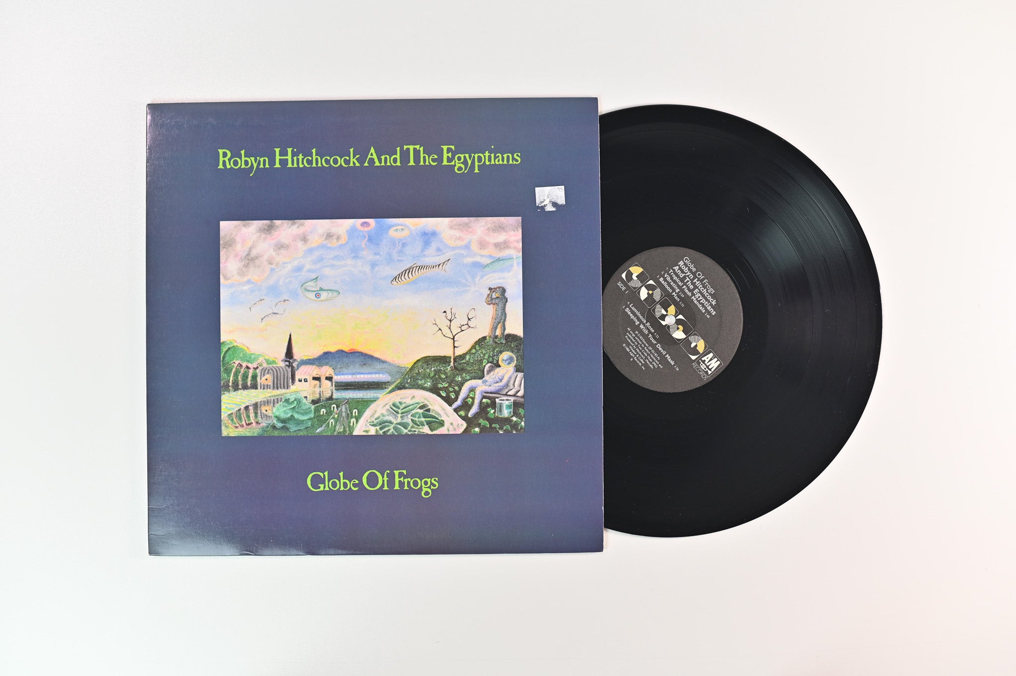 Robyn Hitchcock & The Egyptians - Globe Of Frogs on A&M Records