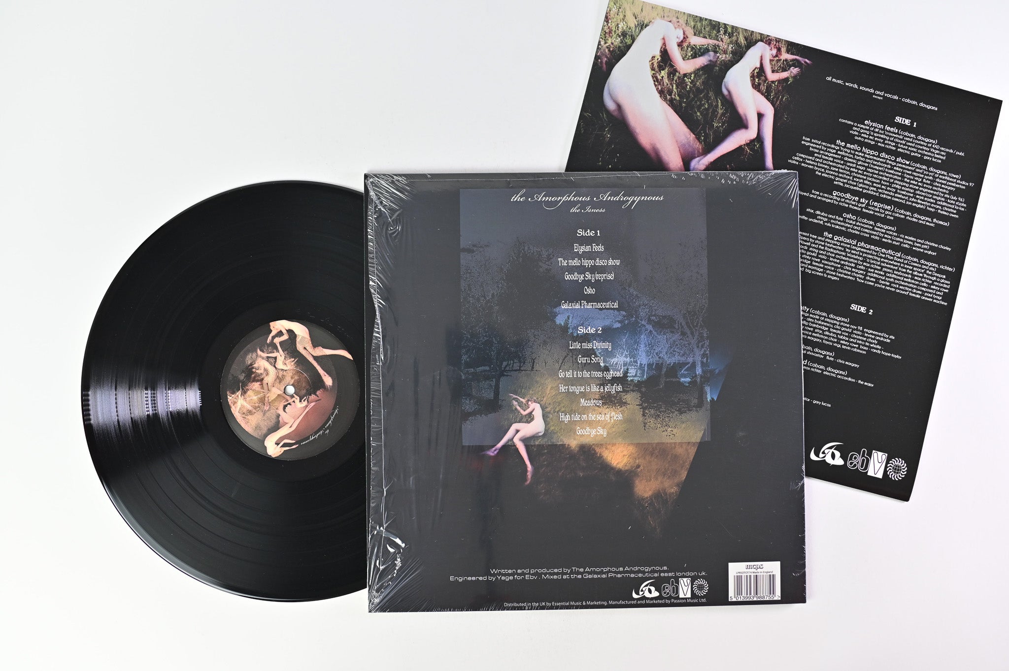 Amorphous Androgynous - The Isness (The Abbey Road Version) on EBV Ltd. RSD Reissue