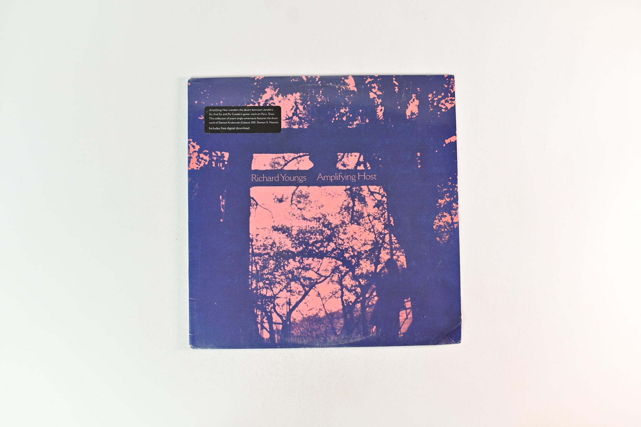 Richard Youngs - Amplifying Host on Jagjaguwar Sealed