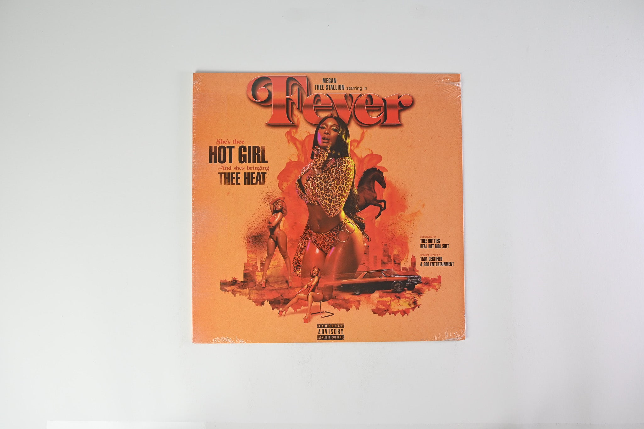 Megan Thee Stallion - Fever Unofficial Pressing Sealed