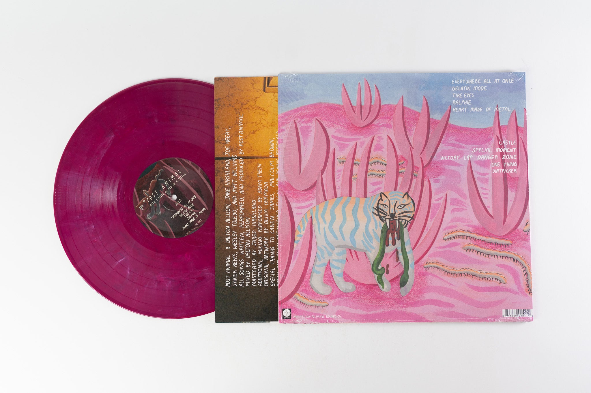 Post Animal - When I Think Of You In A Castle on Polyvinyl Magenta Vinyl