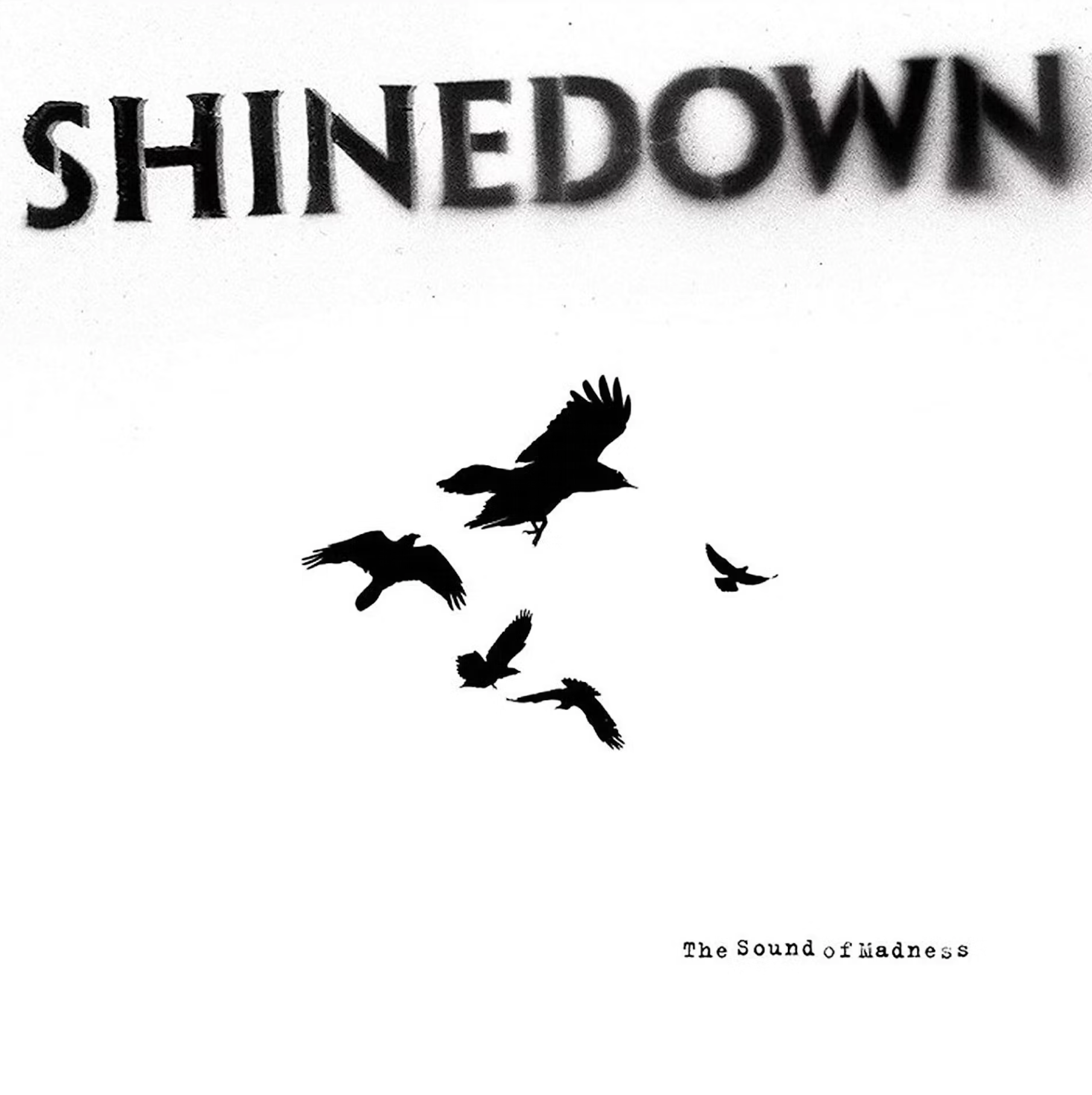 Shinedown - The Sound Of Madness