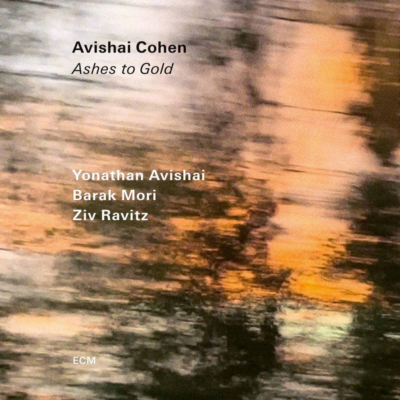 Avishai Cohen - Ashes To Gold