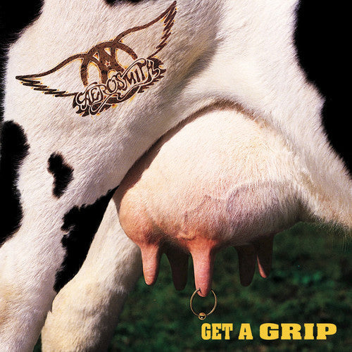 [DAMAGED] Aerosmith - Get A Grip