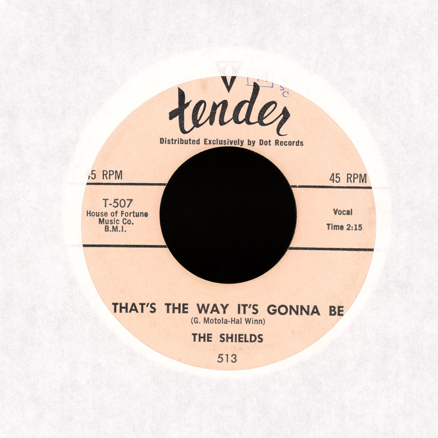 The Shields - You Cheated on Tender Doo Wop 45