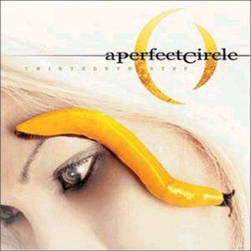 [DAMAGED] A Perfect Circle - Thirteenth Step