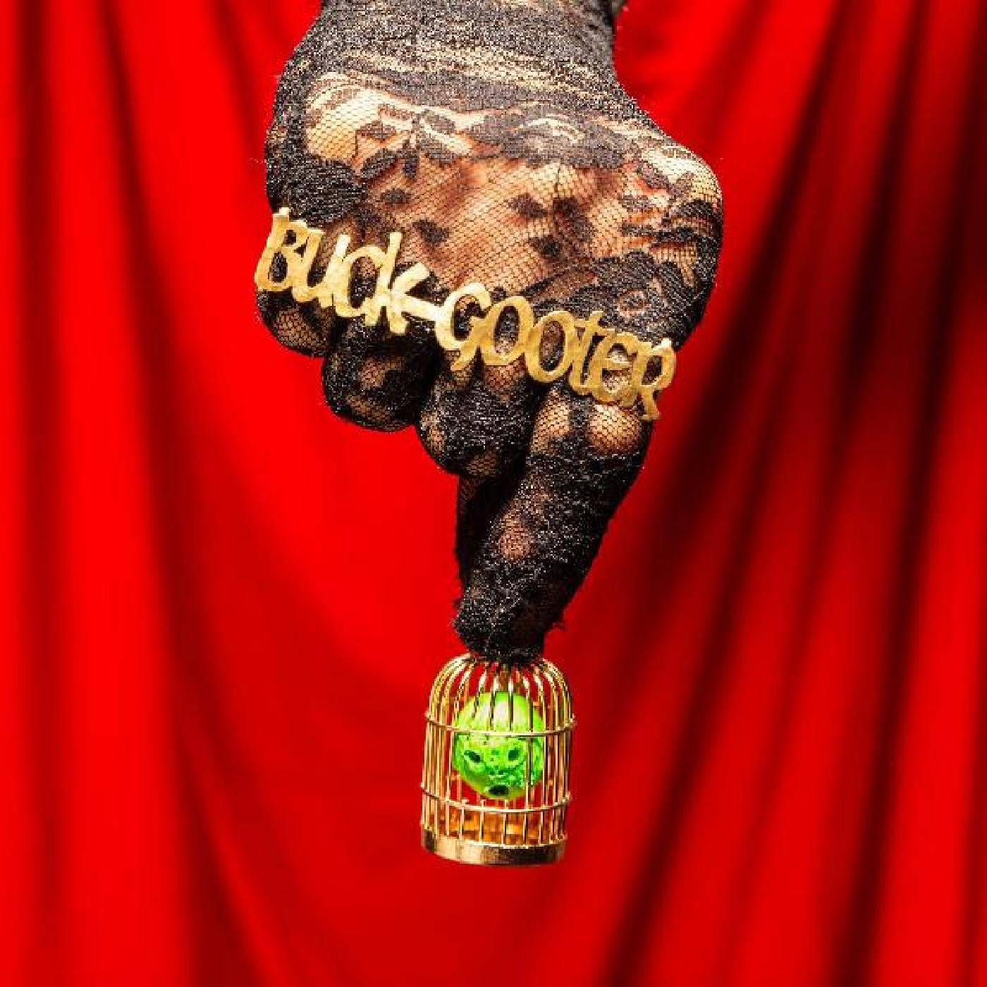 Buck Gooter - Head In A Bird Cage [Black Vinyl]