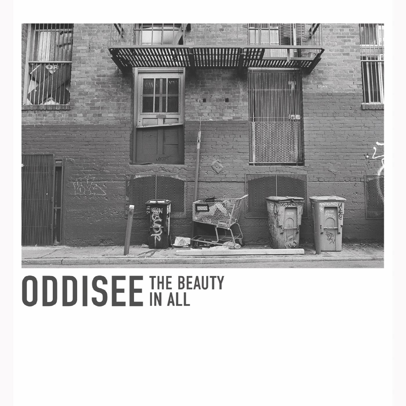 Oddisee - The Beauty In All [Indie-Exclusive Royal Purple Vinyl]