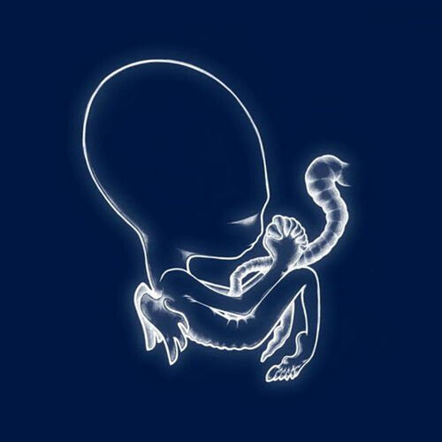 Sigur Ros - Agaetis Byrjun [2-lp]