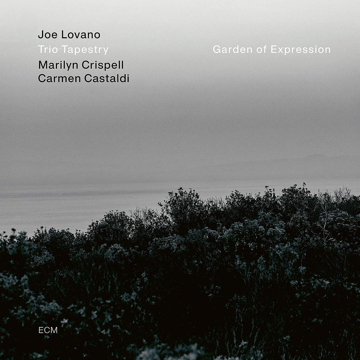 Joe Lovano, Marilyn Crispell, and Carmen Castaldi - Garden of Expression