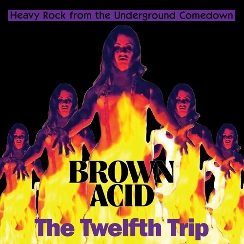 Various - Brown Acid - The Twelfth Trip