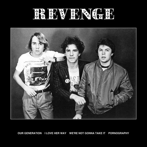 Revenge - The Revenge