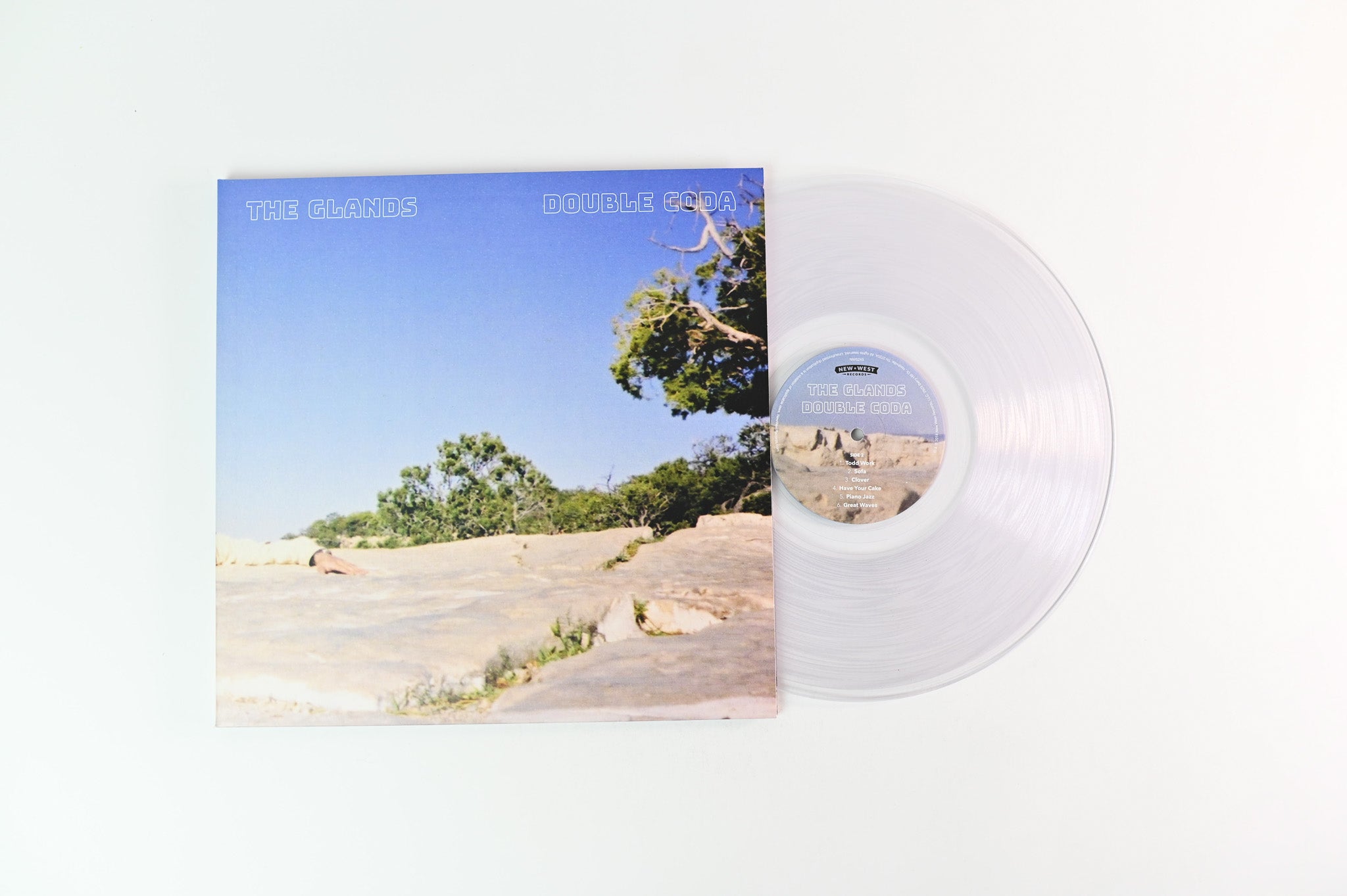 The Glands - I Can See My House From Here on New West Limited Colored Vinyl Box Set