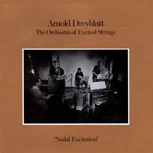 Arnold Dreyblatt - Nodal Excitation