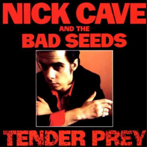 Nick Cave & The Bad Seeds - Tender Prey